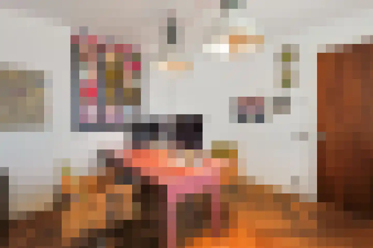 Aalsterweg 300 Eindhoven thumbnail 11