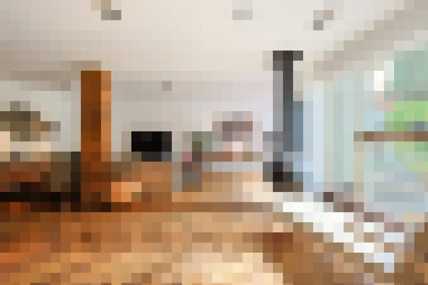 Aalsterweg 300 Eindhoven thumbnail 14