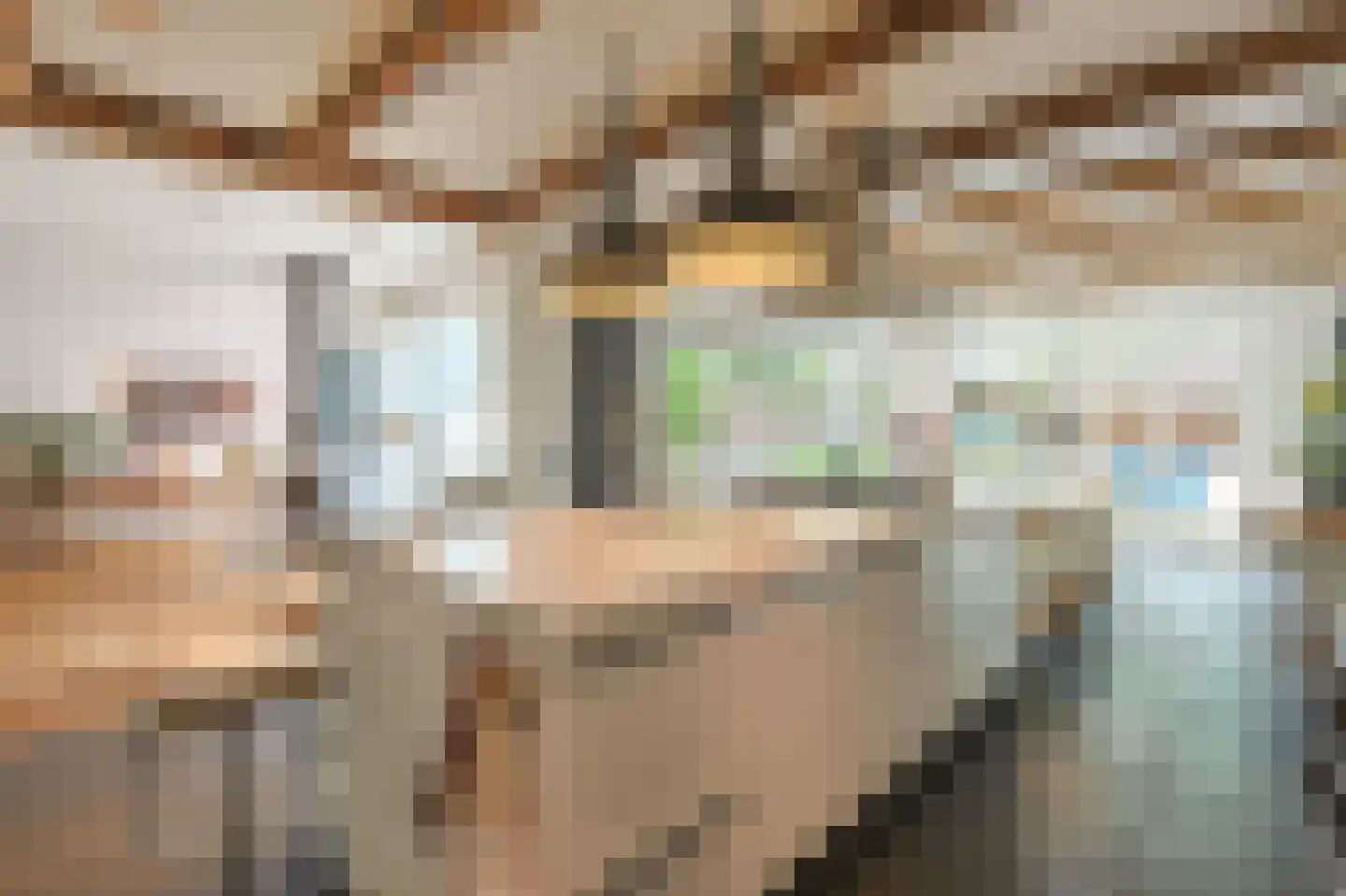 Aalsterweg 300 Eindhoven thumbnail 18