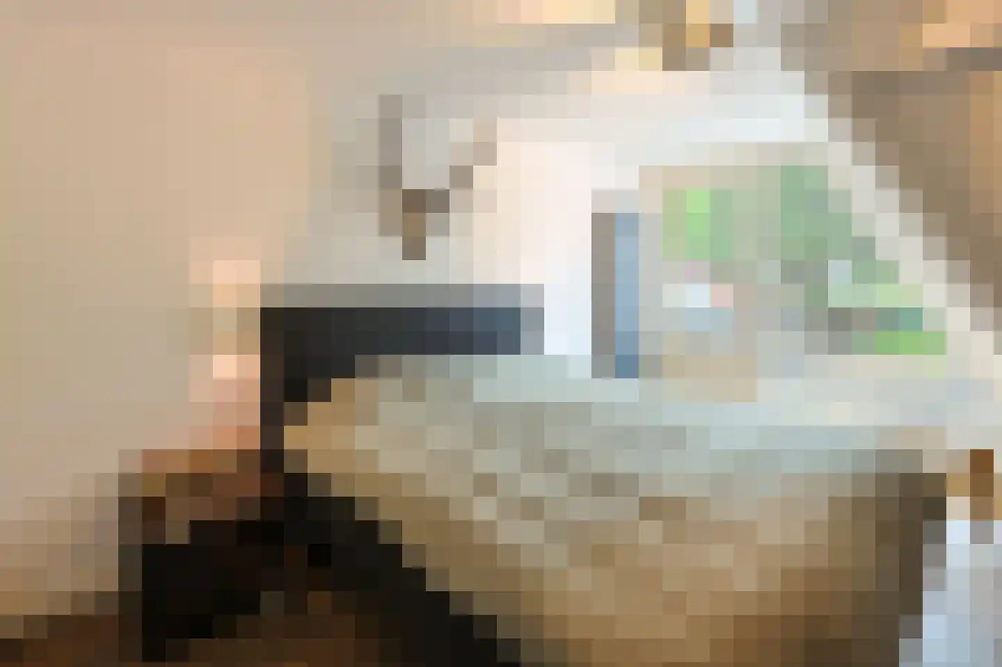 Aalsterweg 300 Eindhoven thumbnail 22