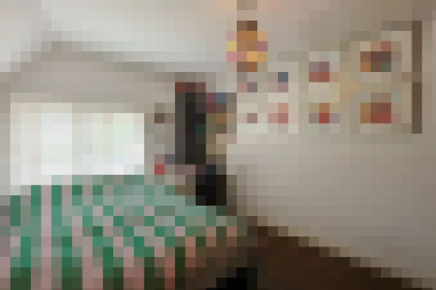 Aalsterweg 300 Eindhoven thumbnail 24