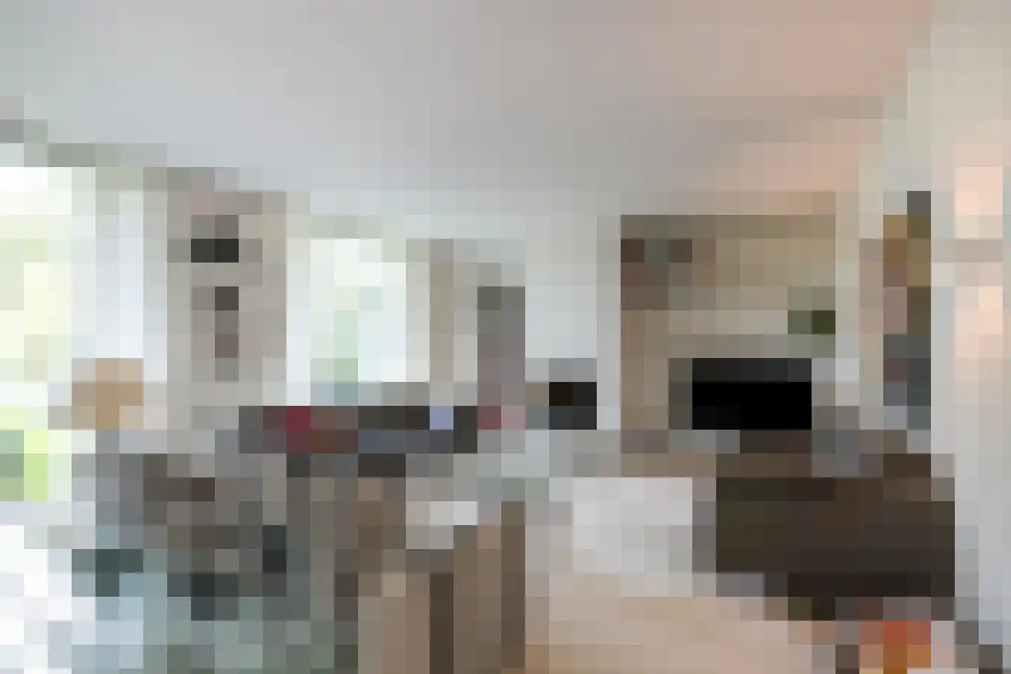 Aalsterweg 307 Eindhoven thumbnail 13