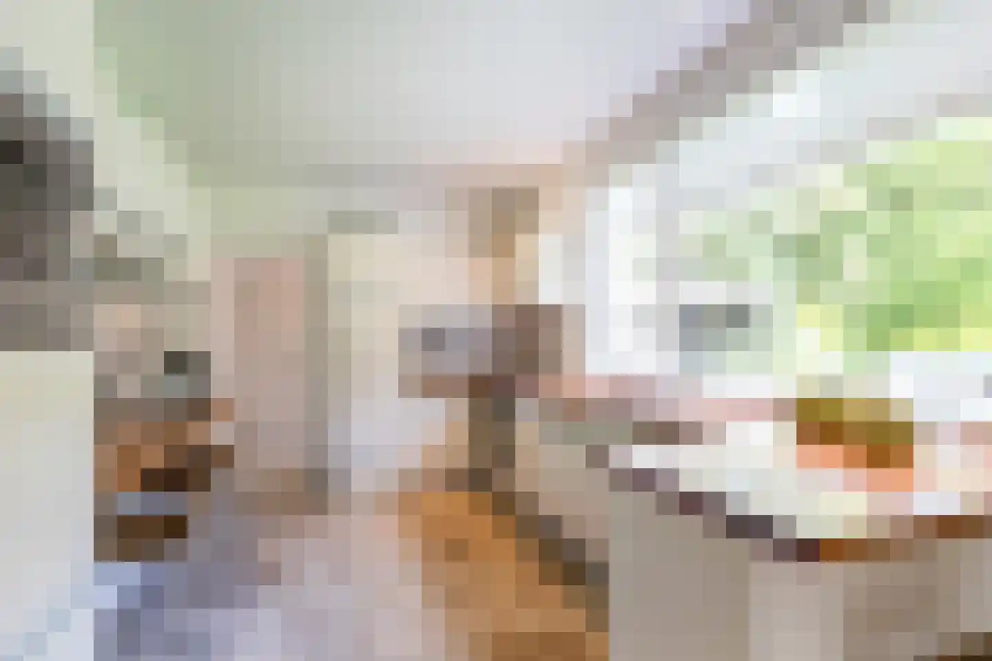 Aalsterweg 307 Eindhoven thumbnail 16