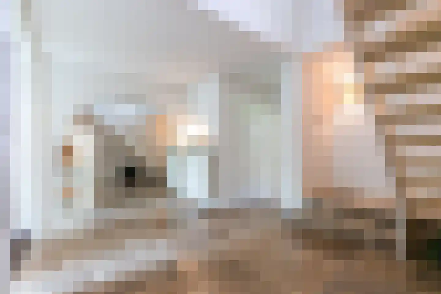 Aalsterweg 307 Eindhoven thumbnail 8