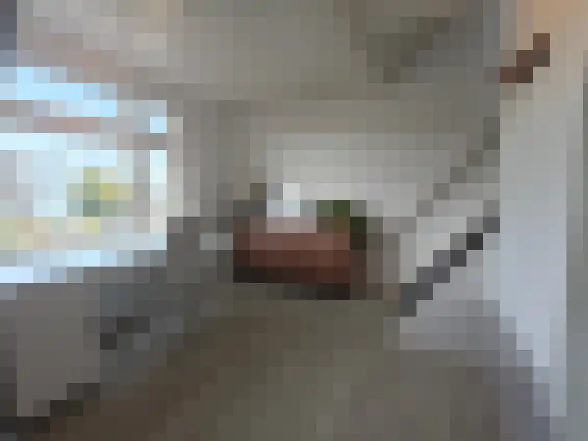 Aalsterweg 42 Eindhoven thumbnail 4