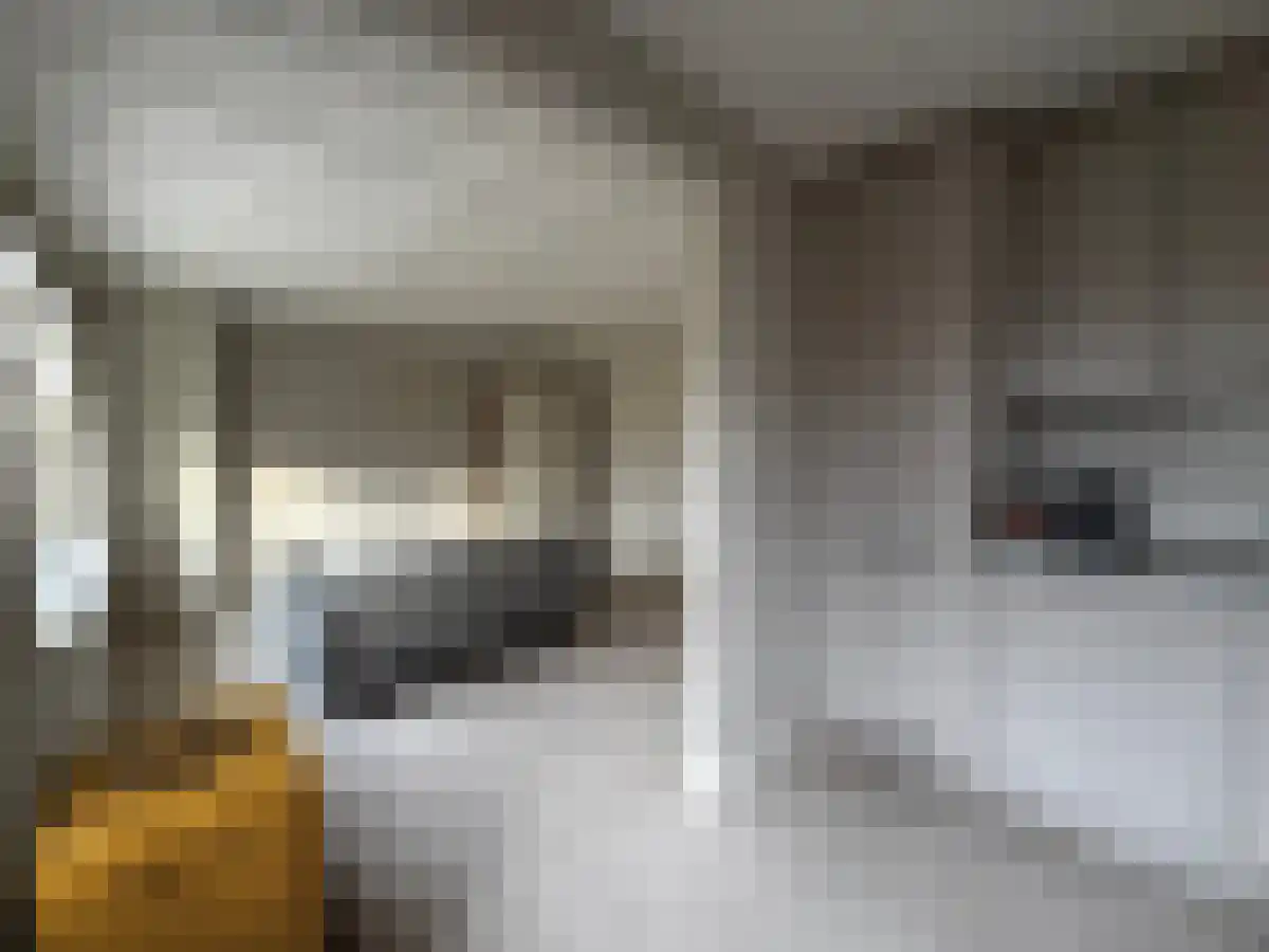 Aalsterweg 42 Eindhoven thumbnail 4