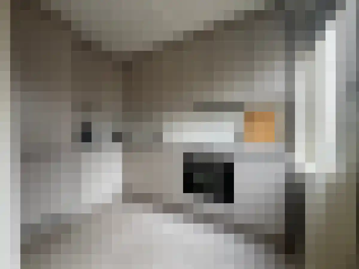 Aalsterweg 42 Eindhoven thumbnail 5