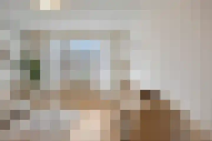 Aalsterweg 77 D Eindhoven thumbnail 15