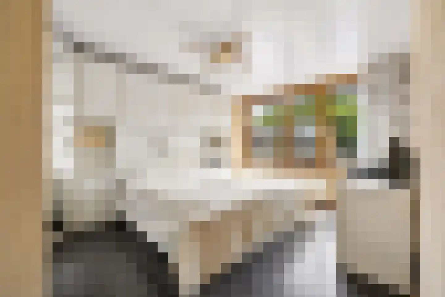 Aalststraat 38 Breda thumbnail 4