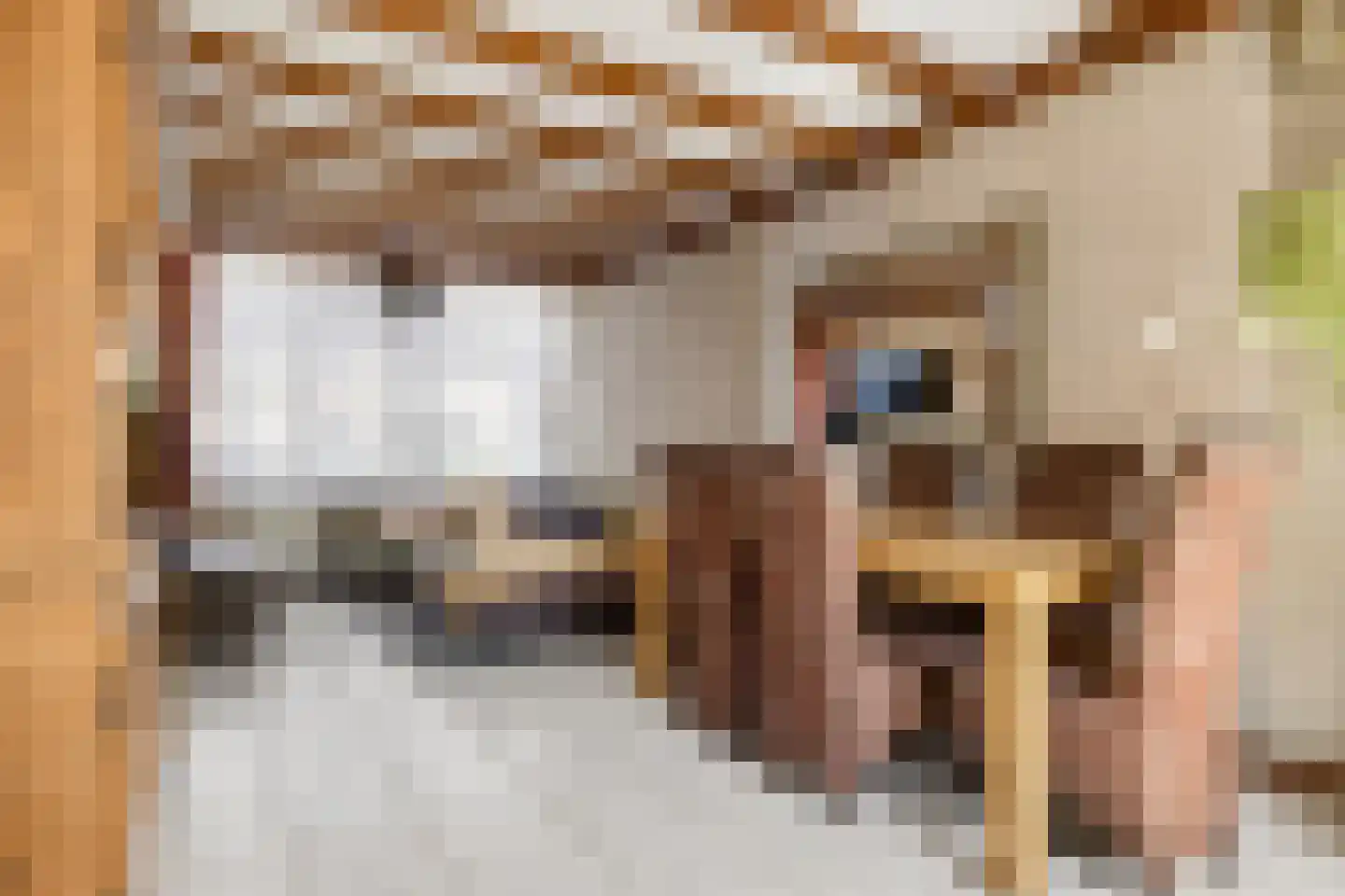 Aalststraat 38 Breda thumbnail 7
