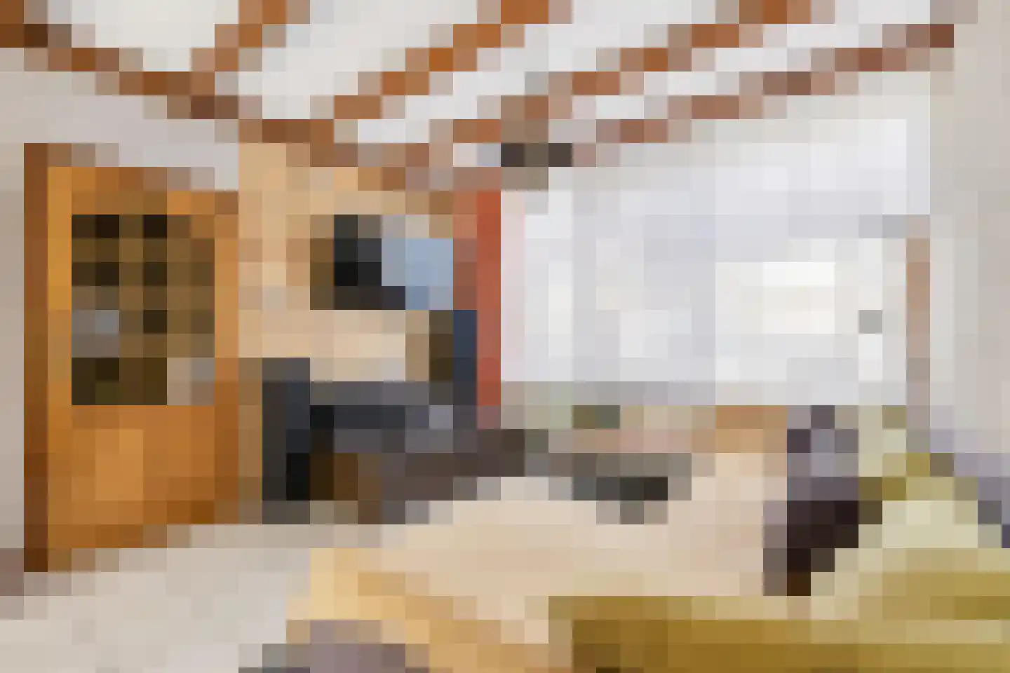 Aalststraat 38 Breda thumbnail 9