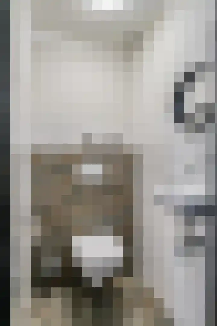 Aalstvoortsestraat 6 Herpen thumbnail 12
