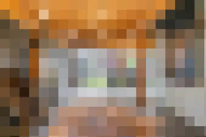 Aalstvoortsestraat 6 Herpen thumbnail 14