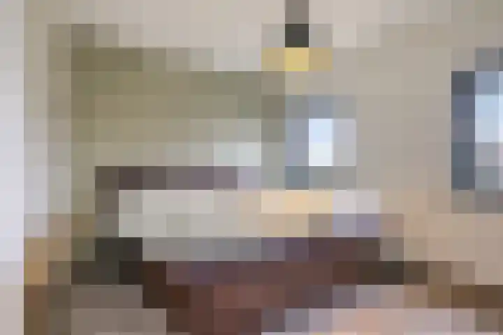 Aalstvoortsestraat 6 Herpen thumbnail 22