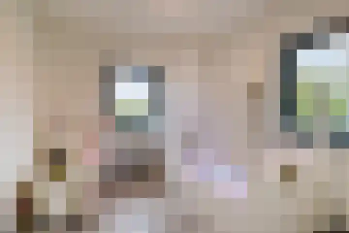 Aalstvoortsestraat 6 Herpen thumbnail 26