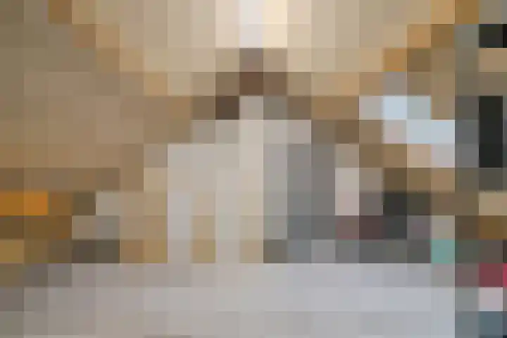 Aalstvoortsestraat 6 Herpen thumbnail 29