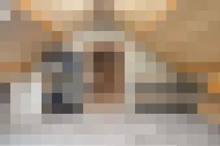 Aalstvoortsestraat 6 Herpen thumbnail 30