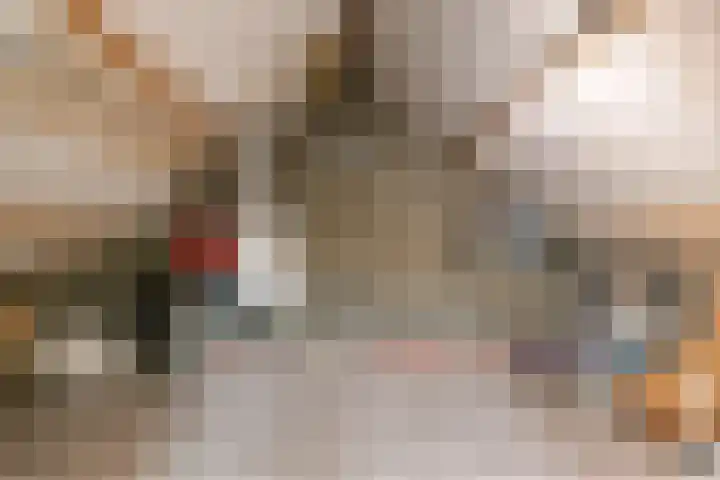 Aalstvoortsestraat 6 Herpen thumbnail 31
