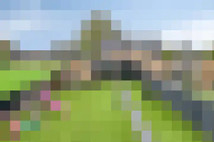 Aalstvoortsestraat 6 Herpen thumbnail 32