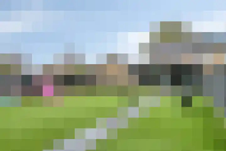 Aalstvoortsestraat 6 Herpen thumbnail 33