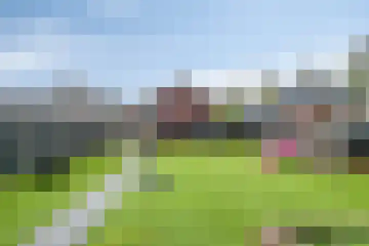Aalstvoortsestraat 6 Herpen thumbnail 35