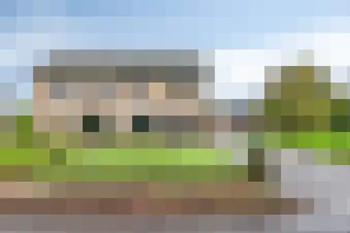 Aalstvoortsestraat 6 Herpen thumbnail 37
