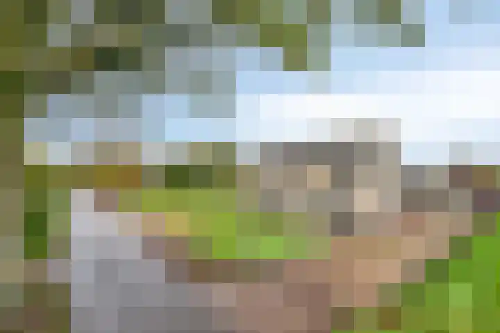 Aalstvoortsestraat 6 Herpen thumbnail 38