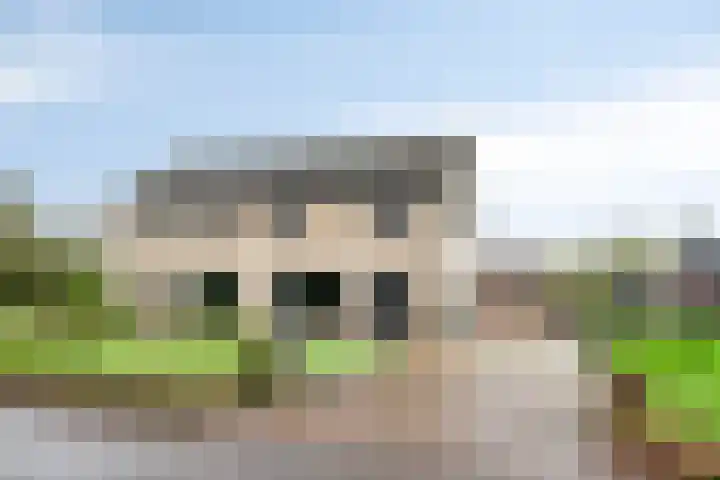 Aalstvoortsestraat 6 Herpen thumbnail 39