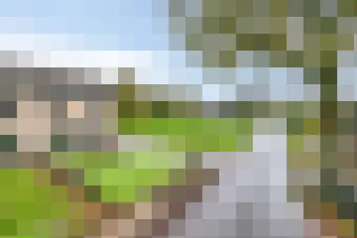 Aalstvoortsestraat 6 Herpen thumbnail 41