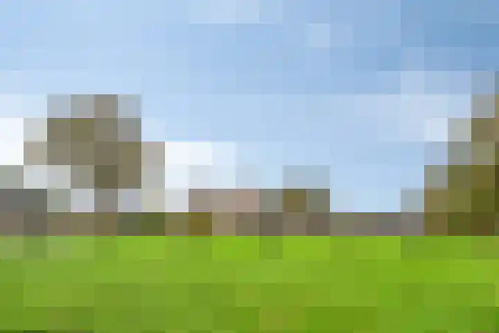 Aalstvoortsestraat 6 Herpen thumbnail 42