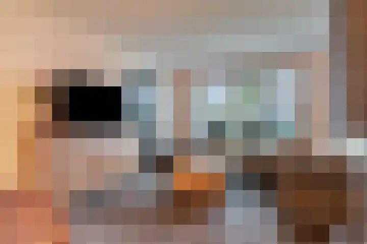 Aalstvoortsestraat 6 Herpen thumbnail 5