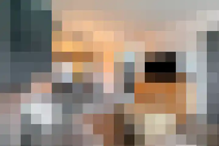 Aalstvoortsestraat 6 Herpen thumbnail 6