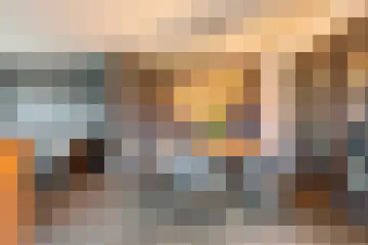 Aalstvoortsestraat 6 Herpen thumbnail 8