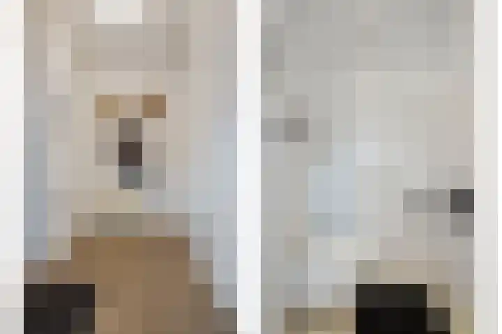 Aalsumstraat 9 Tilburg thumbnail 10