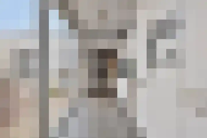 Aalsumstraat 9 Tilburg thumbnail 11