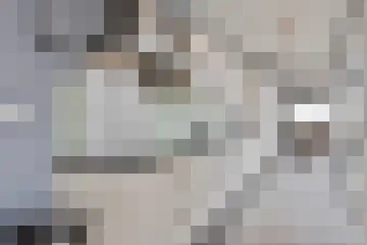 Aalsumstraat 9 Tilburg thumbnail 13