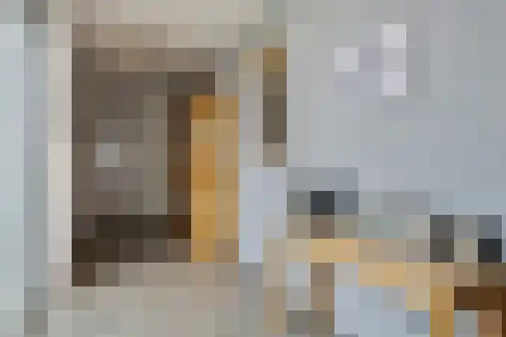 Aalsumstraat 9 Tilburg thumbnail 16