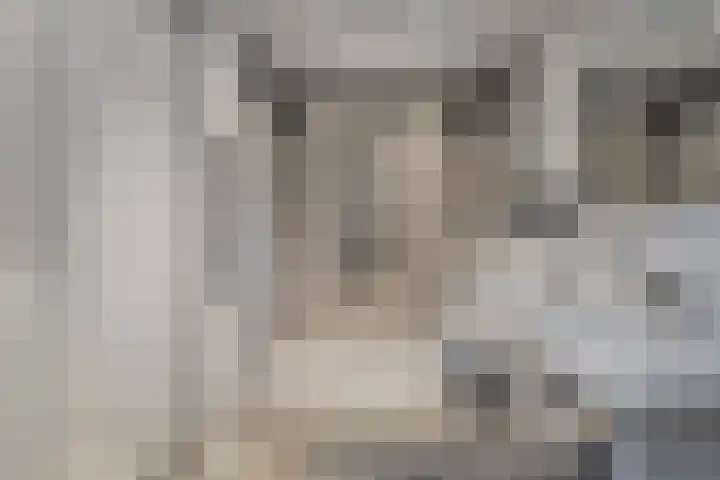 Aalsumstraat 9 Tilburg thumbnail 20
