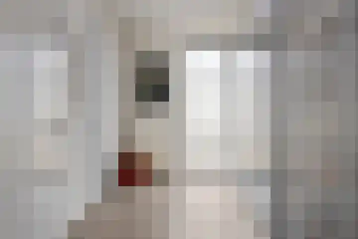 Aalsumstraat 9 Tilburg thumbnail 23