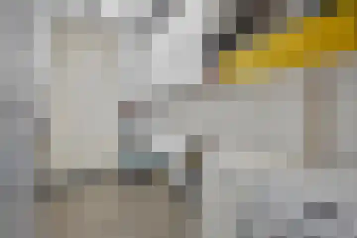 Aalsumstraat 9 Tilburg thumbnail 27