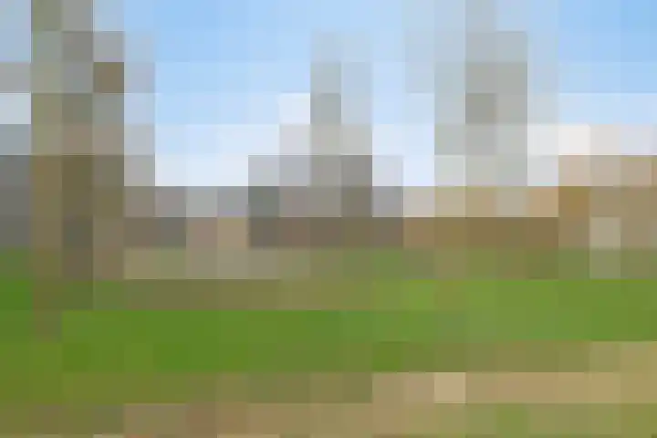 Aalsumstraat 9 Tilburg thumbnail 35