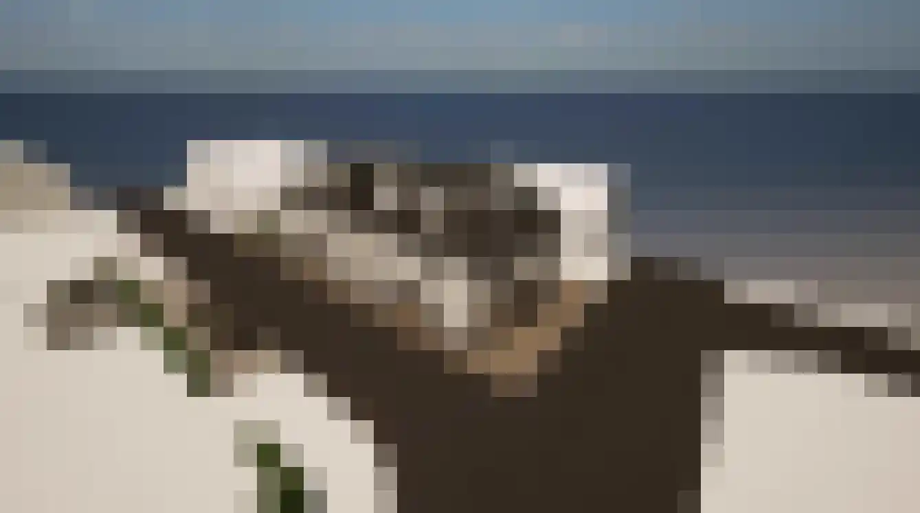 Aaltenseweg 1 Dinxperlo thumbnail 4