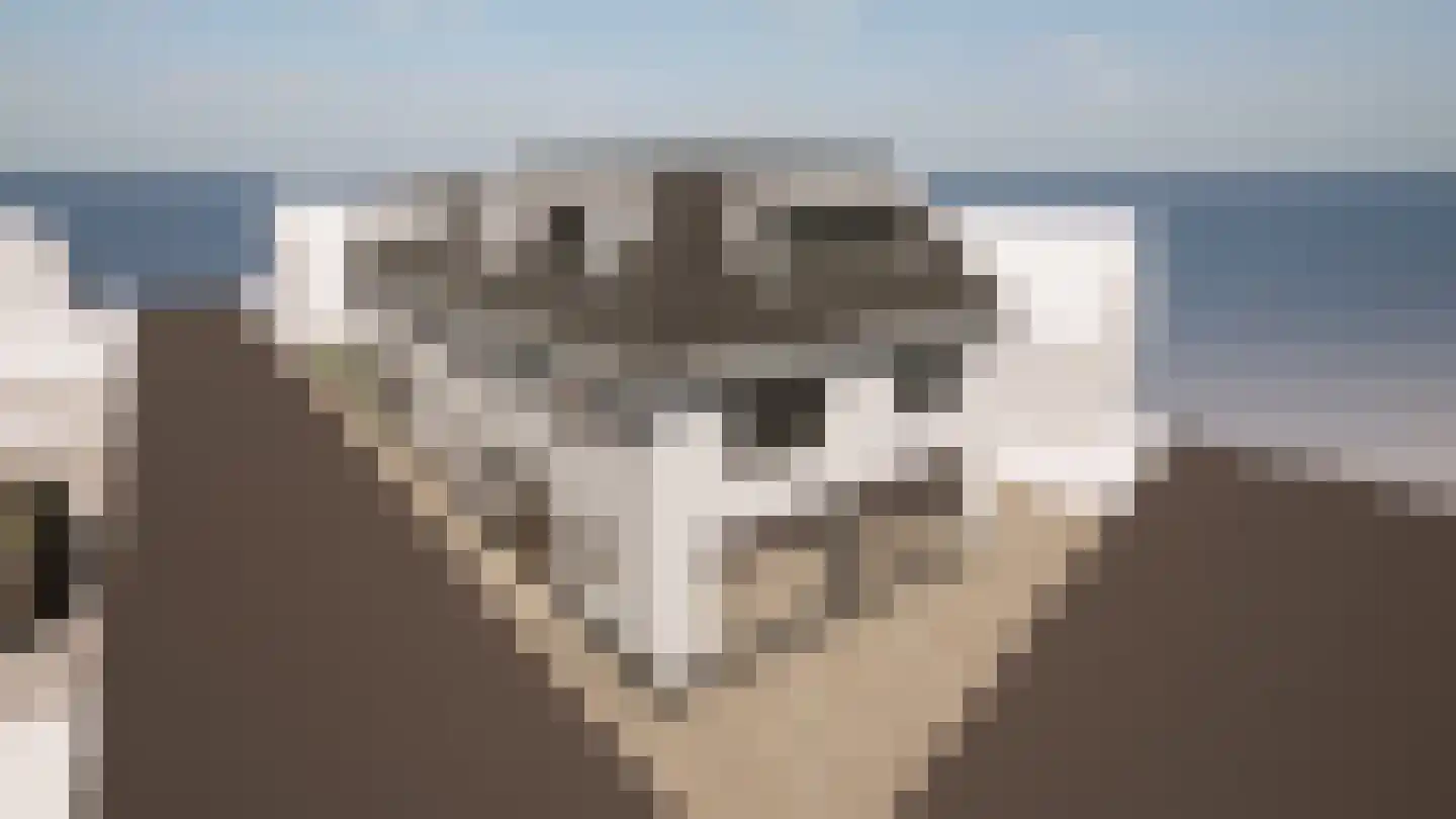 Aaltenseweg 1 Dinxperlo thumbnail 6