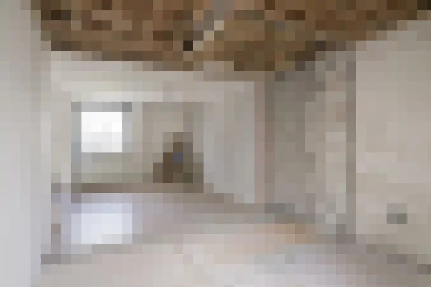 Aaltenseweg 1 II Dinxperlo thumbnail 15