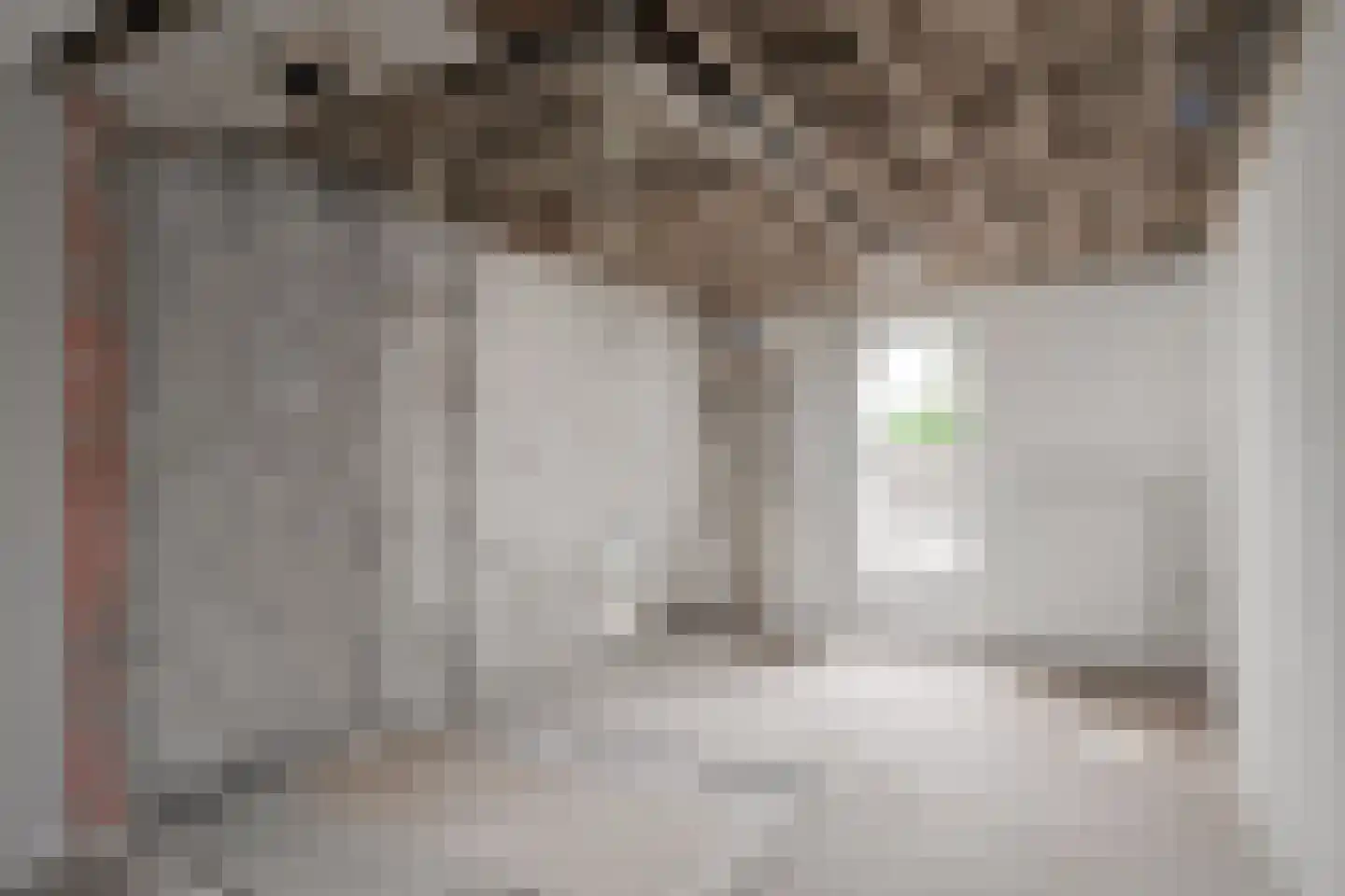 Aaltenseweg 1 II Dinxperlo thumbnail 16
