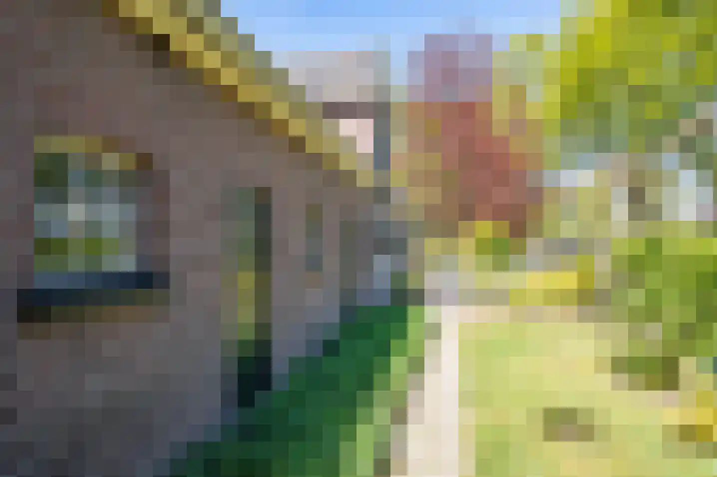 Aaltenseweg 10 A Hengelo (Gld) thumbnail 61
