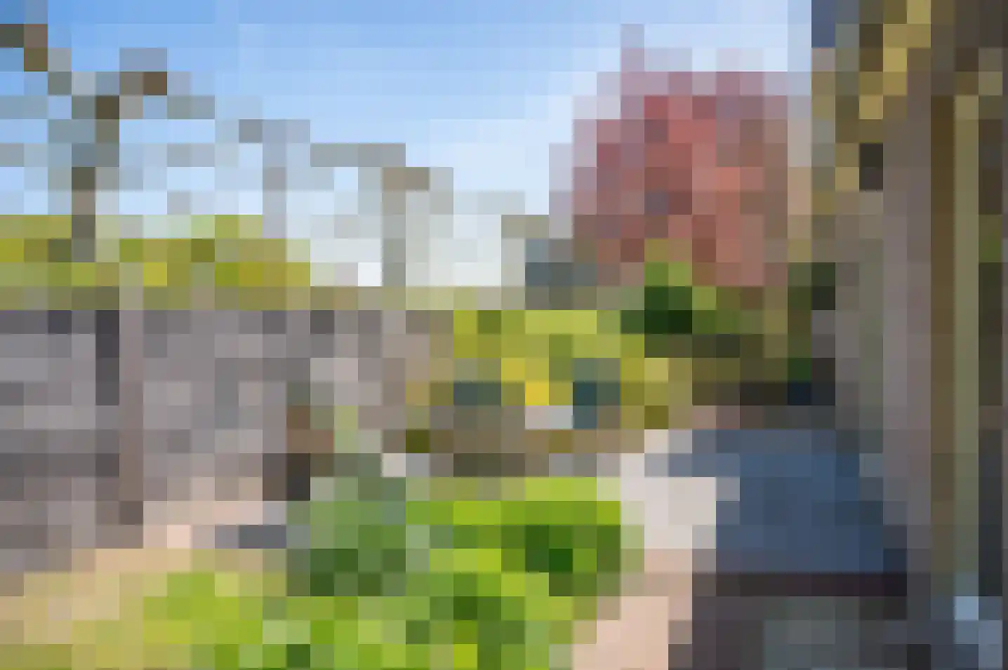 Aaltenseweg 10 A Hengelo (Gld) thumbnail 63