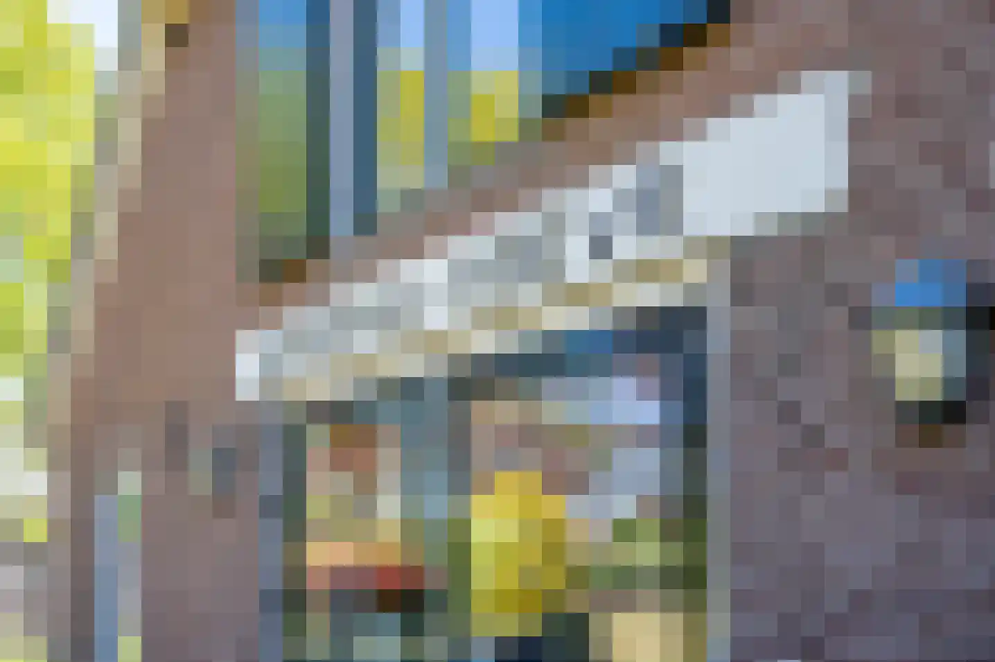 Aaltenseweg 10 A Hengelo (Gld) thumbnail 69