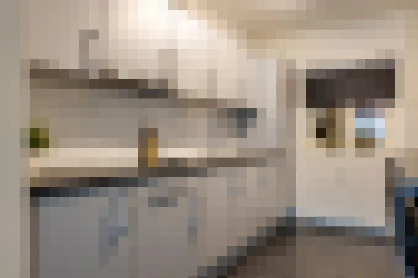 Aaltenseweg 10 d Lichtenvoorde thumbnail 16