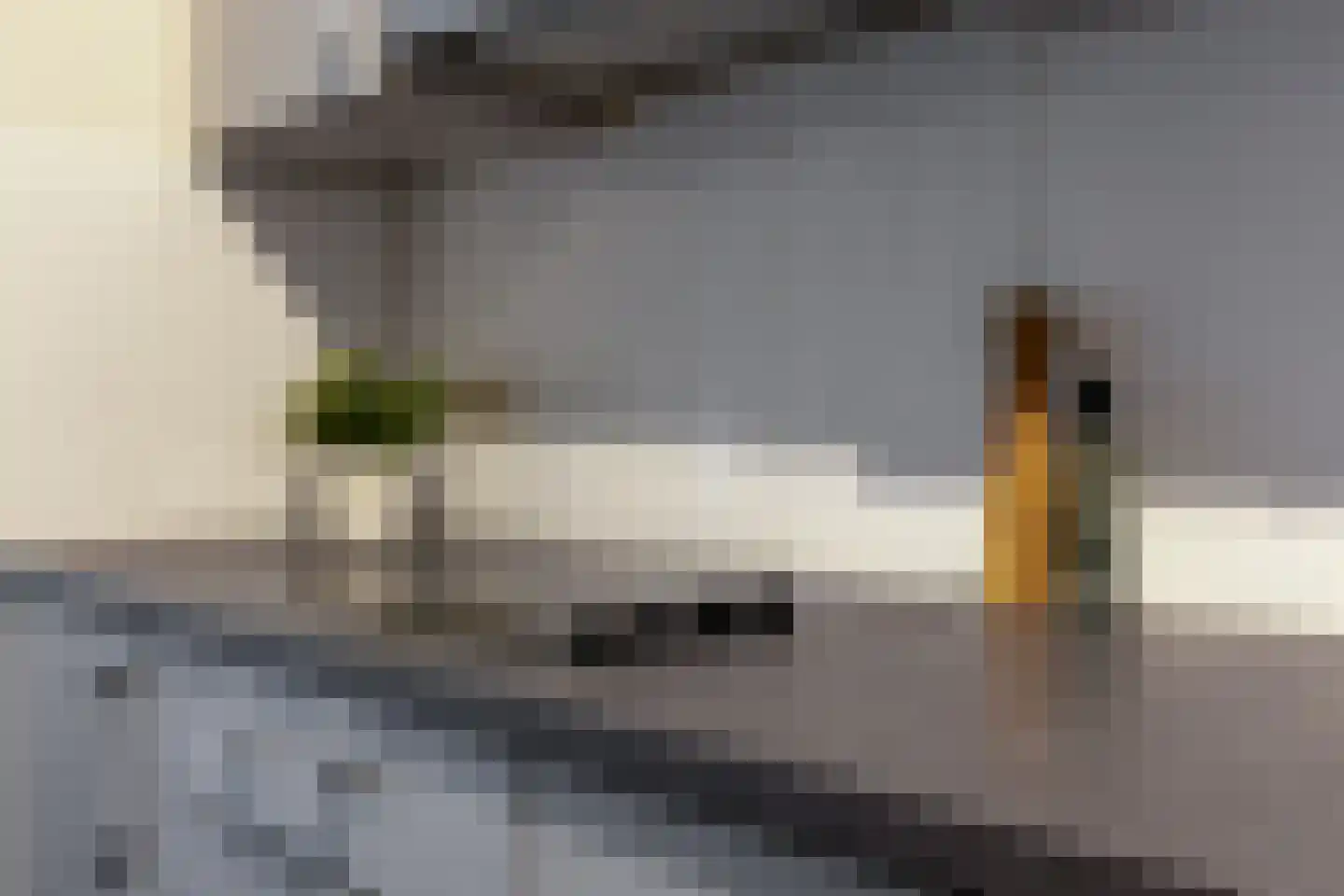 Aaltenseweg 10 d Lichtenvoorde thumbnail 17